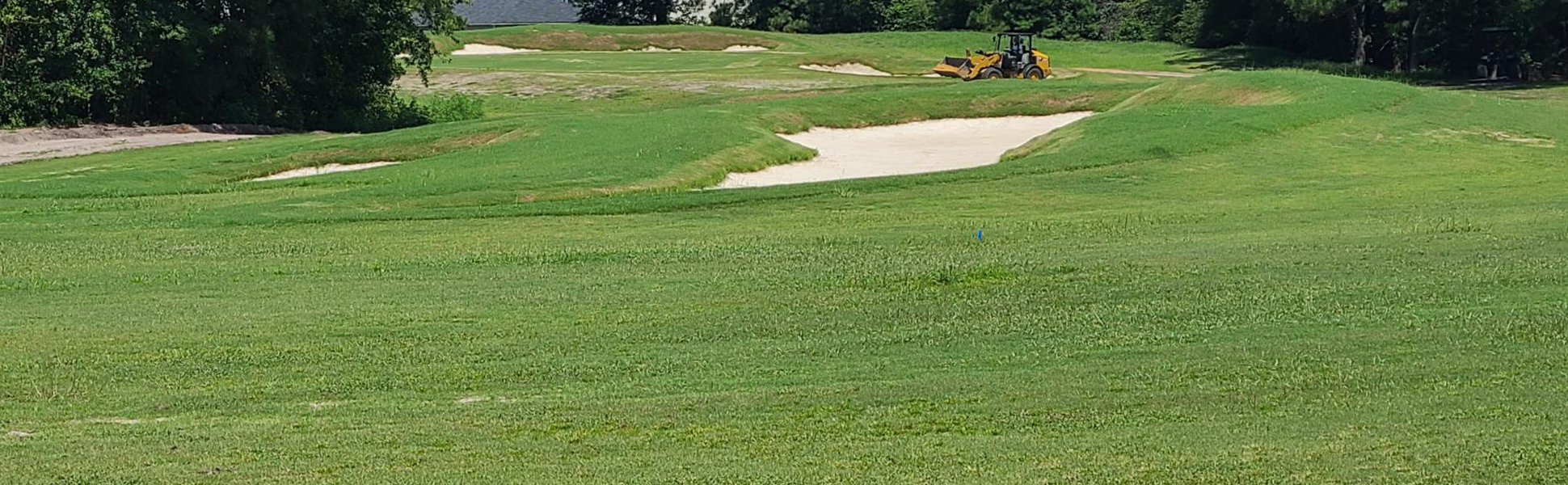 view of golf course